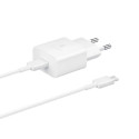 Samsung EP-T1510XWE - Chargeur Secteur Complet - Adaptateur 15W & Câble USB Type-C vers Type-C - Blanc - Emballage Original